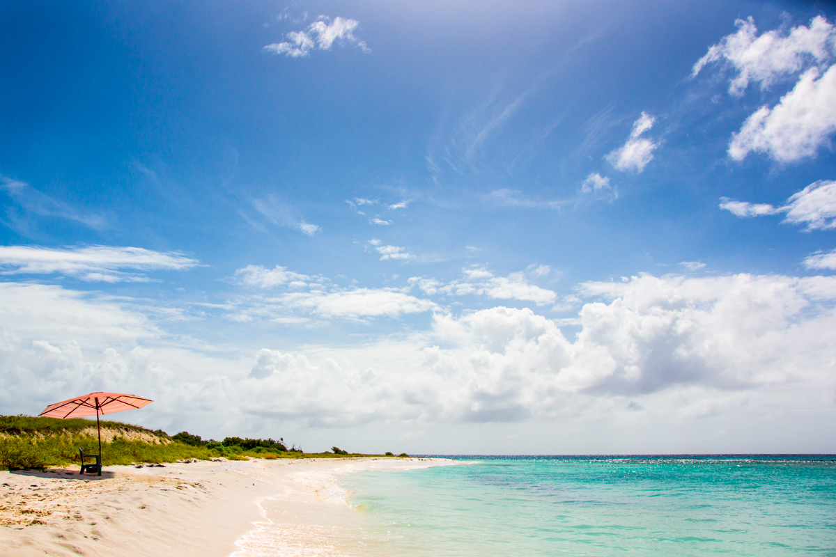 委内瑞拉为什么和美国断交,委内瑞拉与美国断交是怎么回事