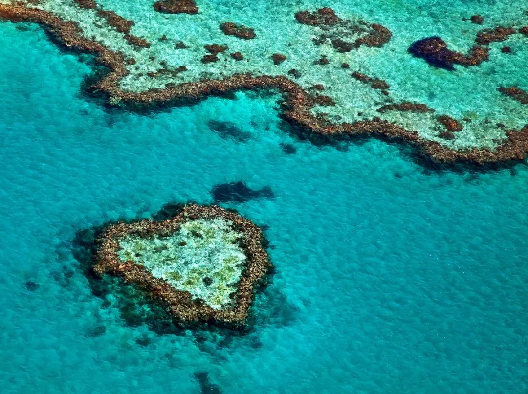 法罗群岛闭岛,真实的法罗群岛