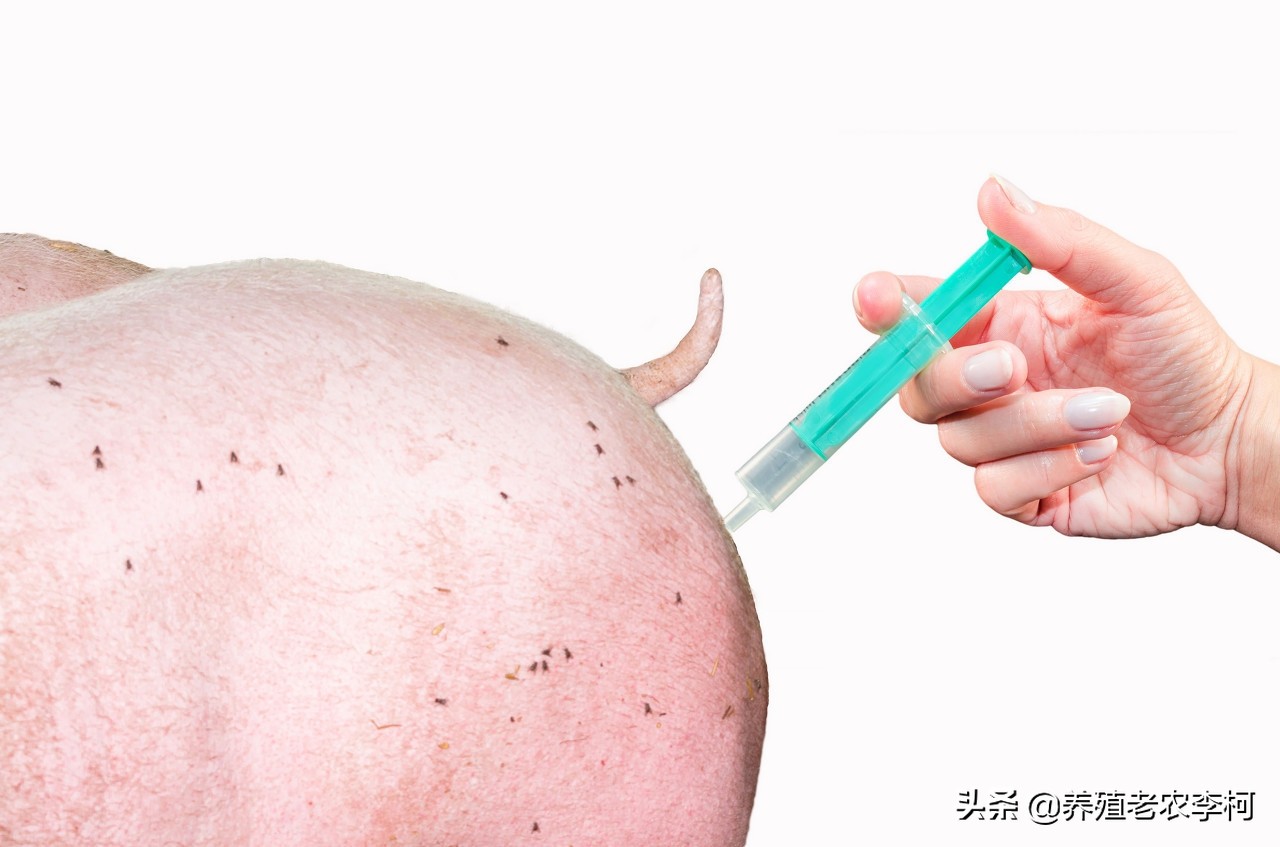 猪用磺胺药有哪几种,磺胺治猪什么病最好