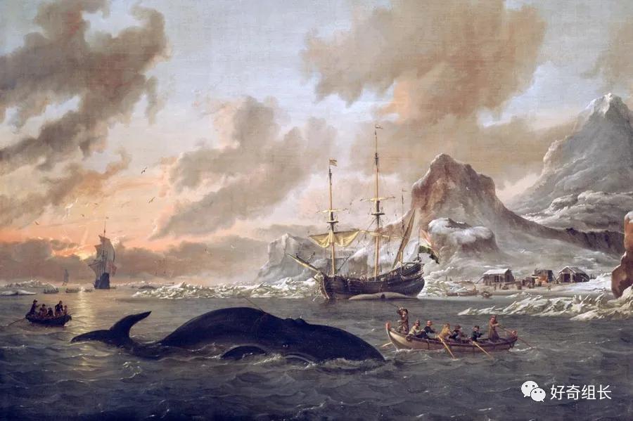 纽约为什么叫纽约新阿姆斯特丹,纽约为什么叫做曼哈顿呢