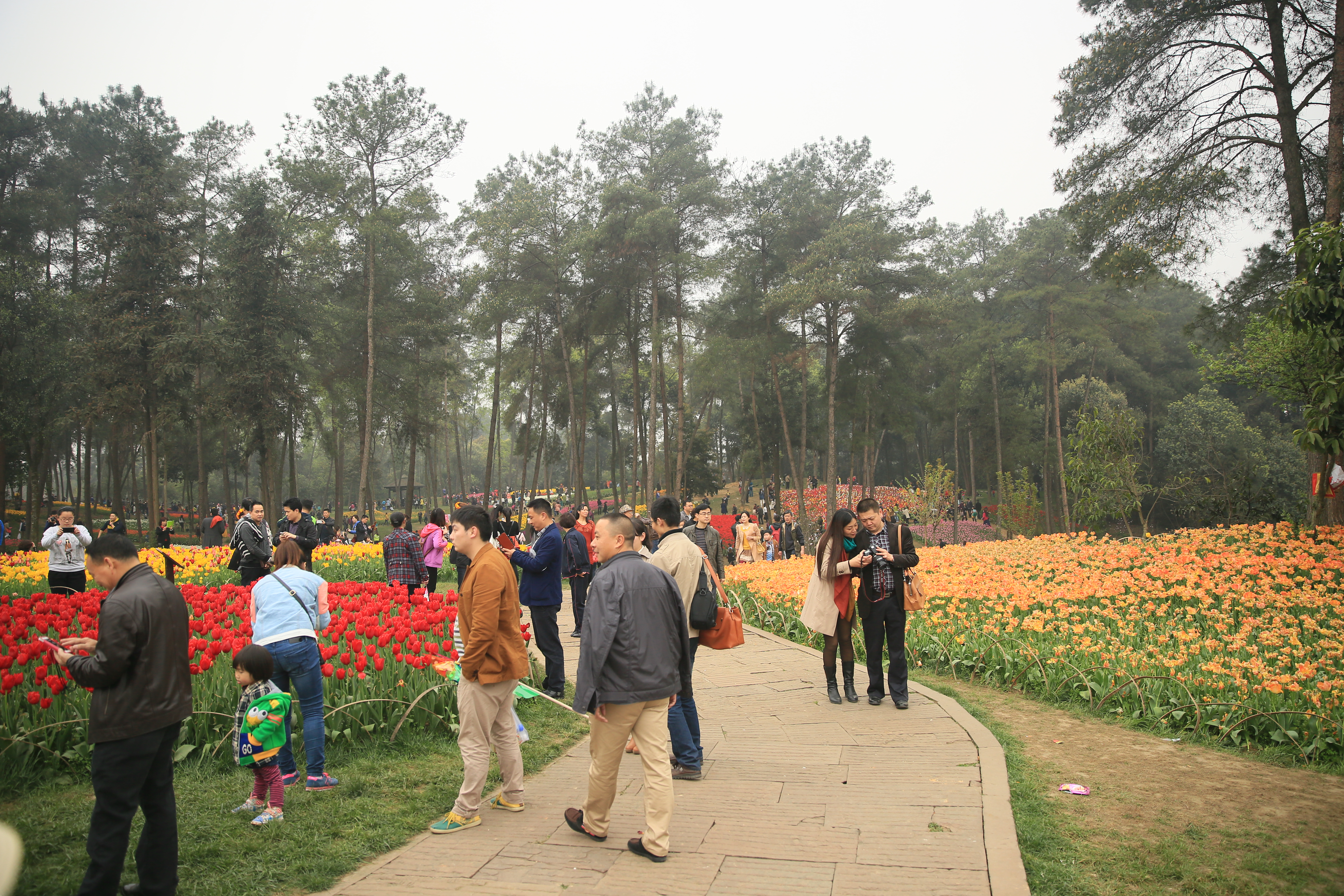 钂叉睙鐭宠薄婀栧ソ鐜╀笉,钂叉睙鐭宠薄婀栧ソ鑰嶅悧