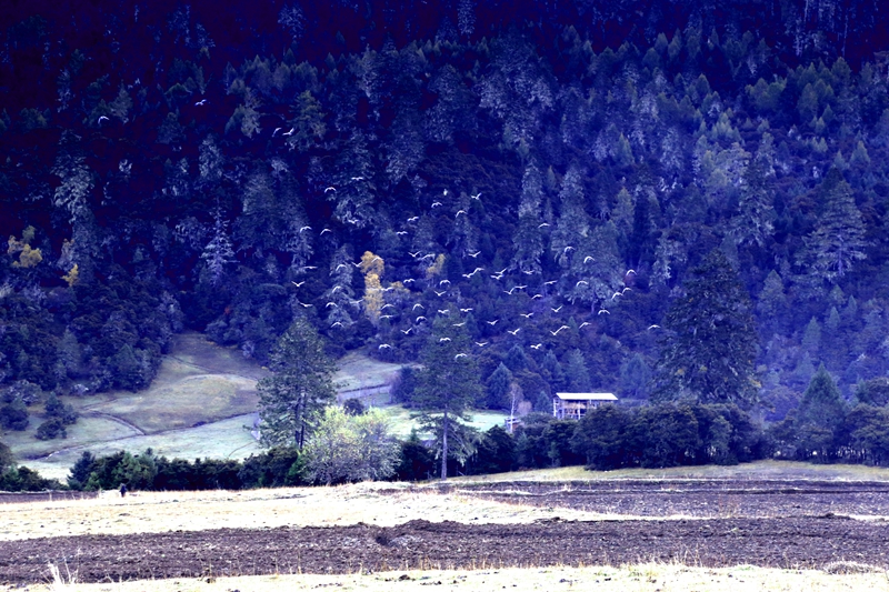 西藏珠峰四天旅游攻略,西藏珠峰四日游最美