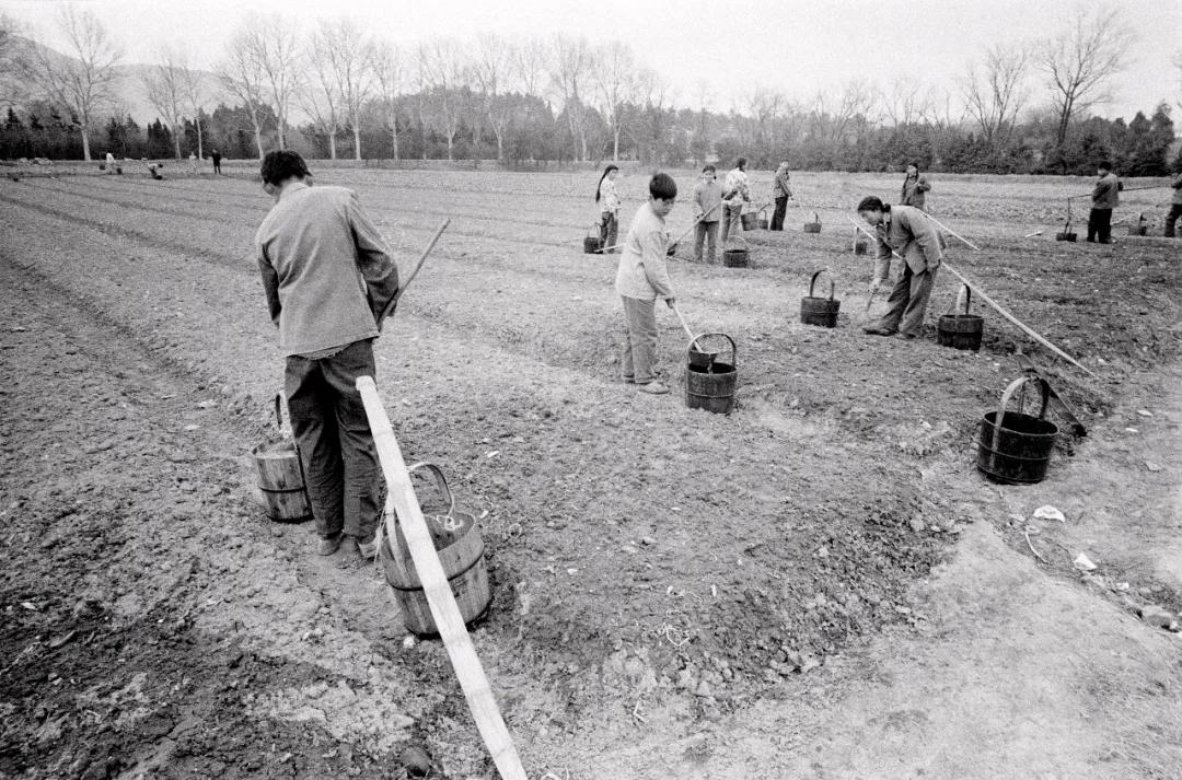 自己开采的荒地能否确权,农民自己开垦的荒地可以确权吗