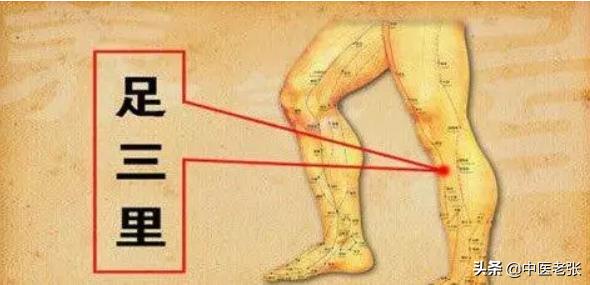 老中医顺口溜你值得拥有,超实用的中医顺口溜值得一看