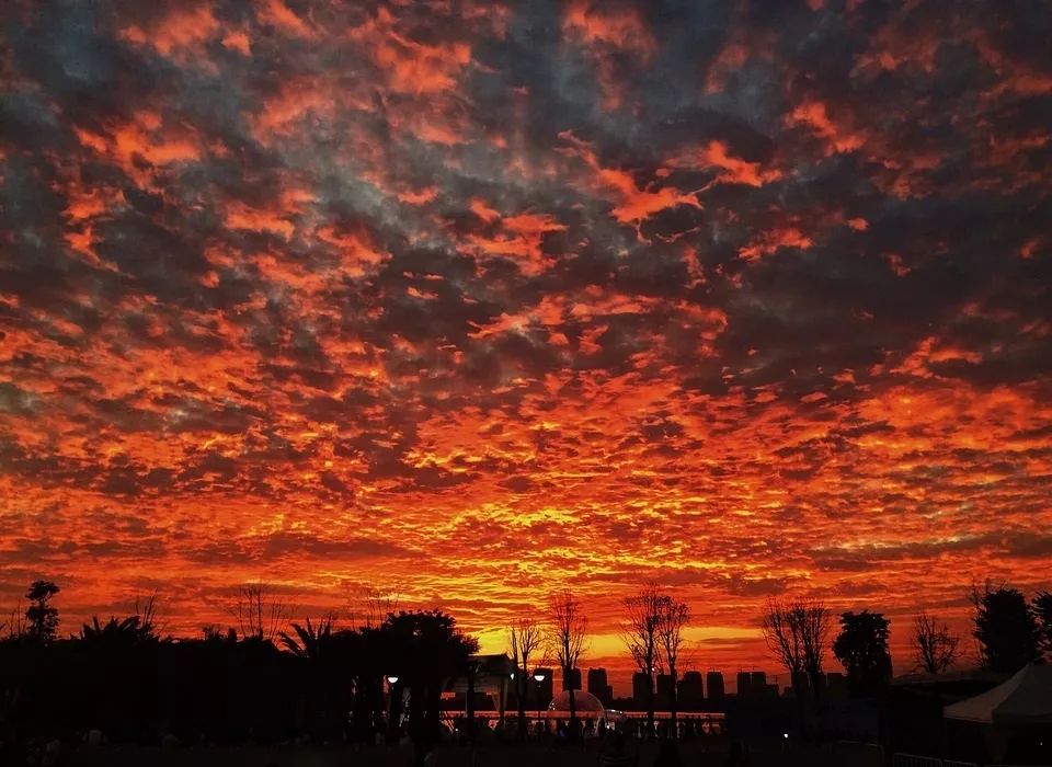 养心养肺之旅,静心养肺养心