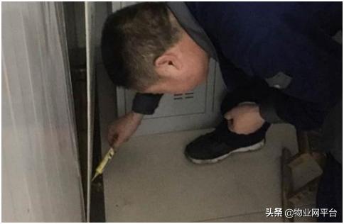 狗灭跳蚤最有效的方法,灭跳蚤老方法