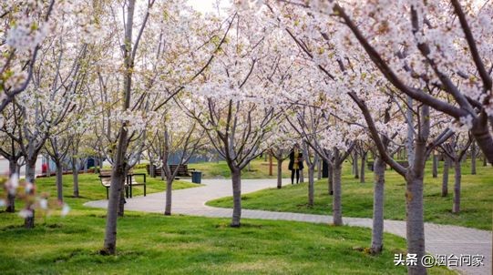 牟平创造一项新记录，成为烟台榜单第一名