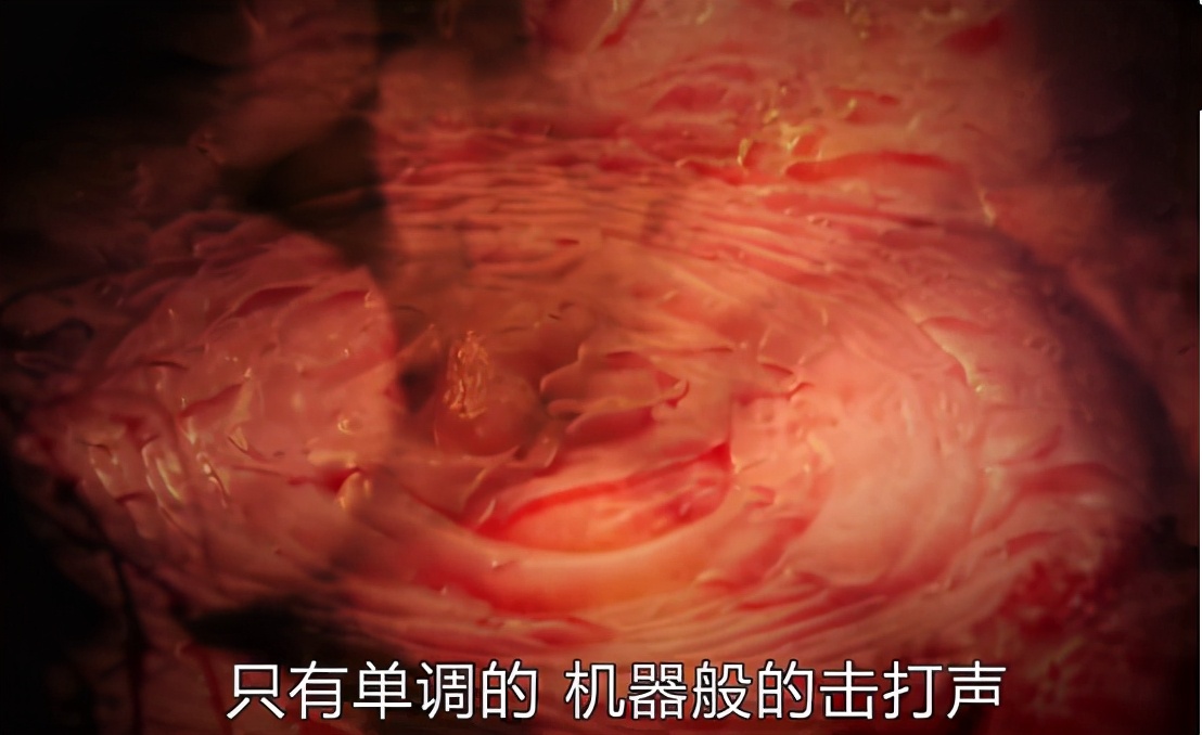 科学揭秘人死后的世界,揭秘人死后的世界