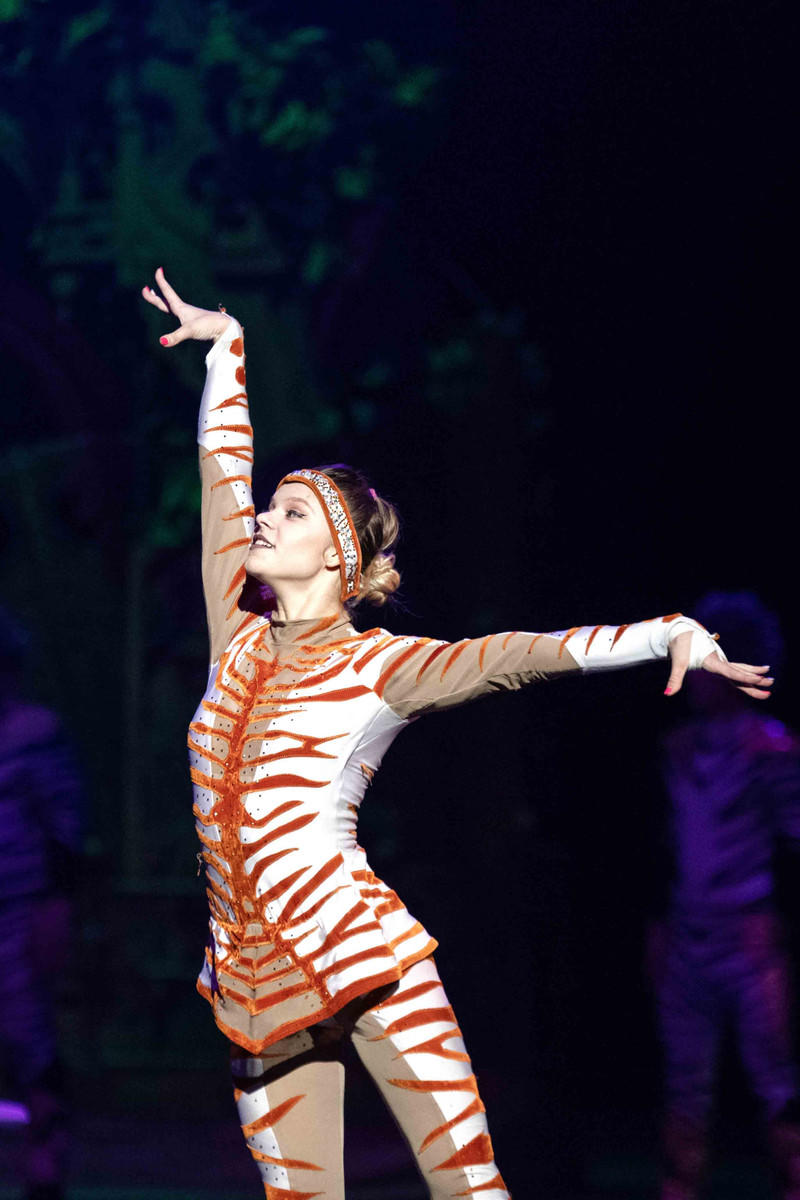 广州长隆野生动物世界的游玩攻略,广州长隆野生动物世界一日游回顾