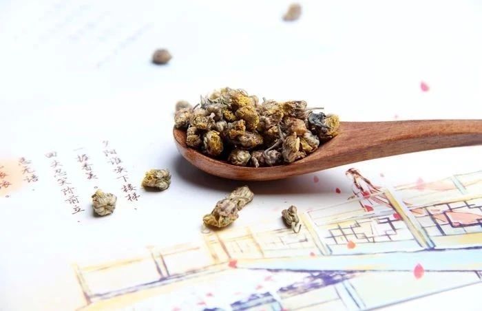 野菊花的四种用途有哪些,野菊花好处和坏处