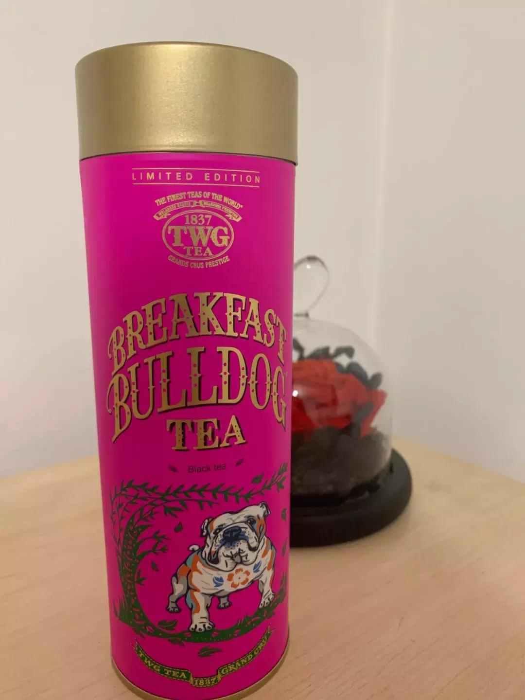 出发之前游玩攻略,出发前一天买机票便宜