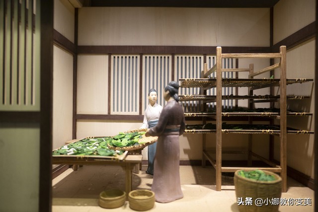 桑蚕丝面料的优缺点,桑蚕丝与棉混纺t恤的优缺点