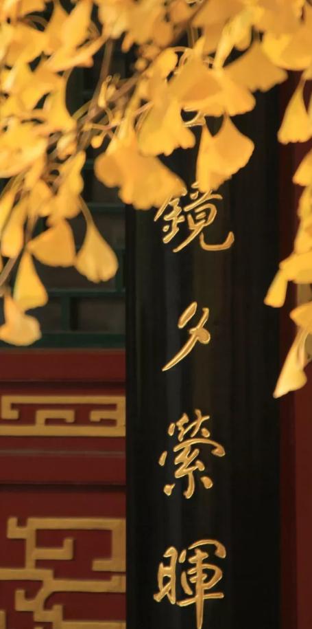 秋词哪句诗句是描写秋景的,欣赏古诗词秋词