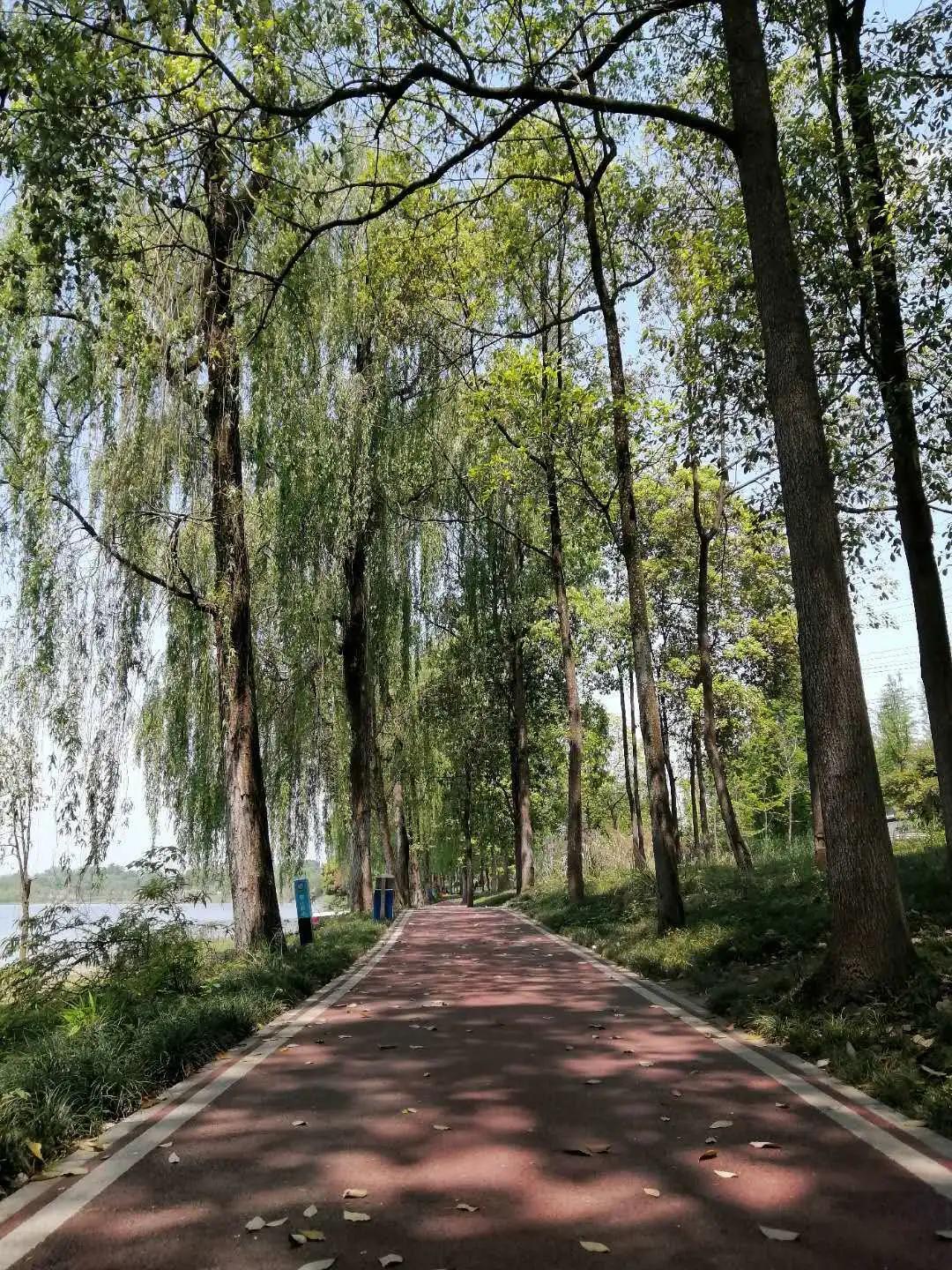 温江金马湖现状,金马湖烂尾楼在哪里