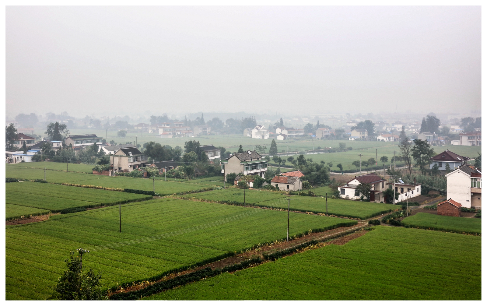 海安市曲塘,江苏海安市曲塘
