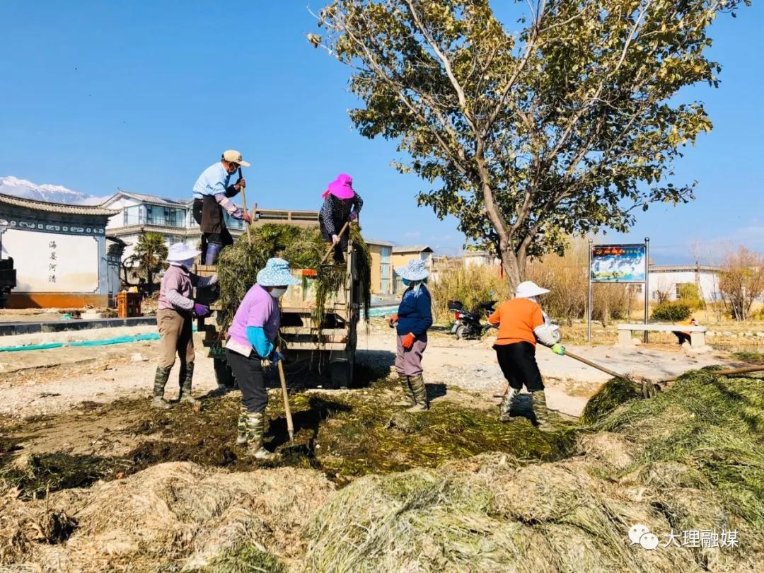 大理巍山疫情防控消息,大理永平疫情防控最新消息