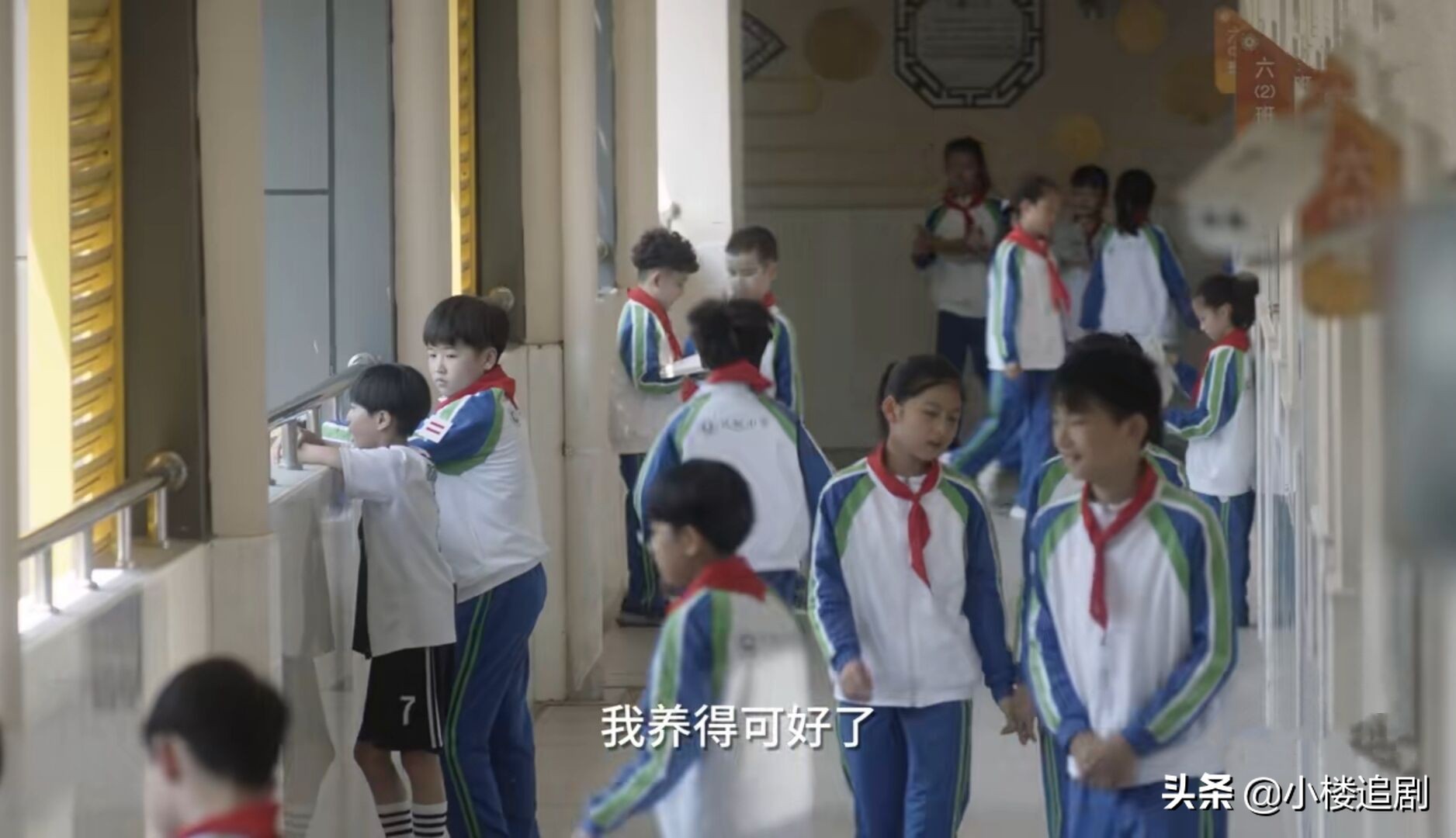 小舍得大结局揭露心酸真相,小舍得原著各人结局