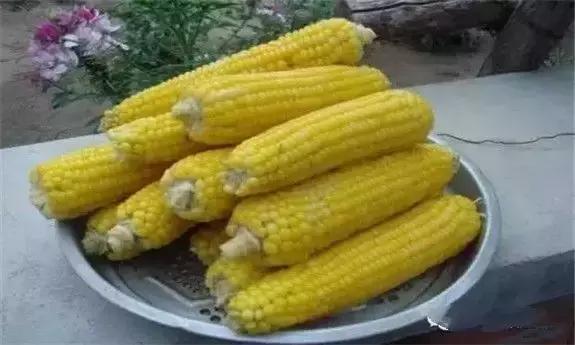 东北版满汉全席,原汁原味的满汉全席