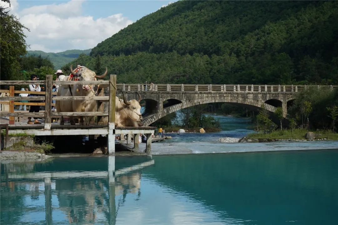 马牌轮胎究竟怎样,马牌轮胎有多强