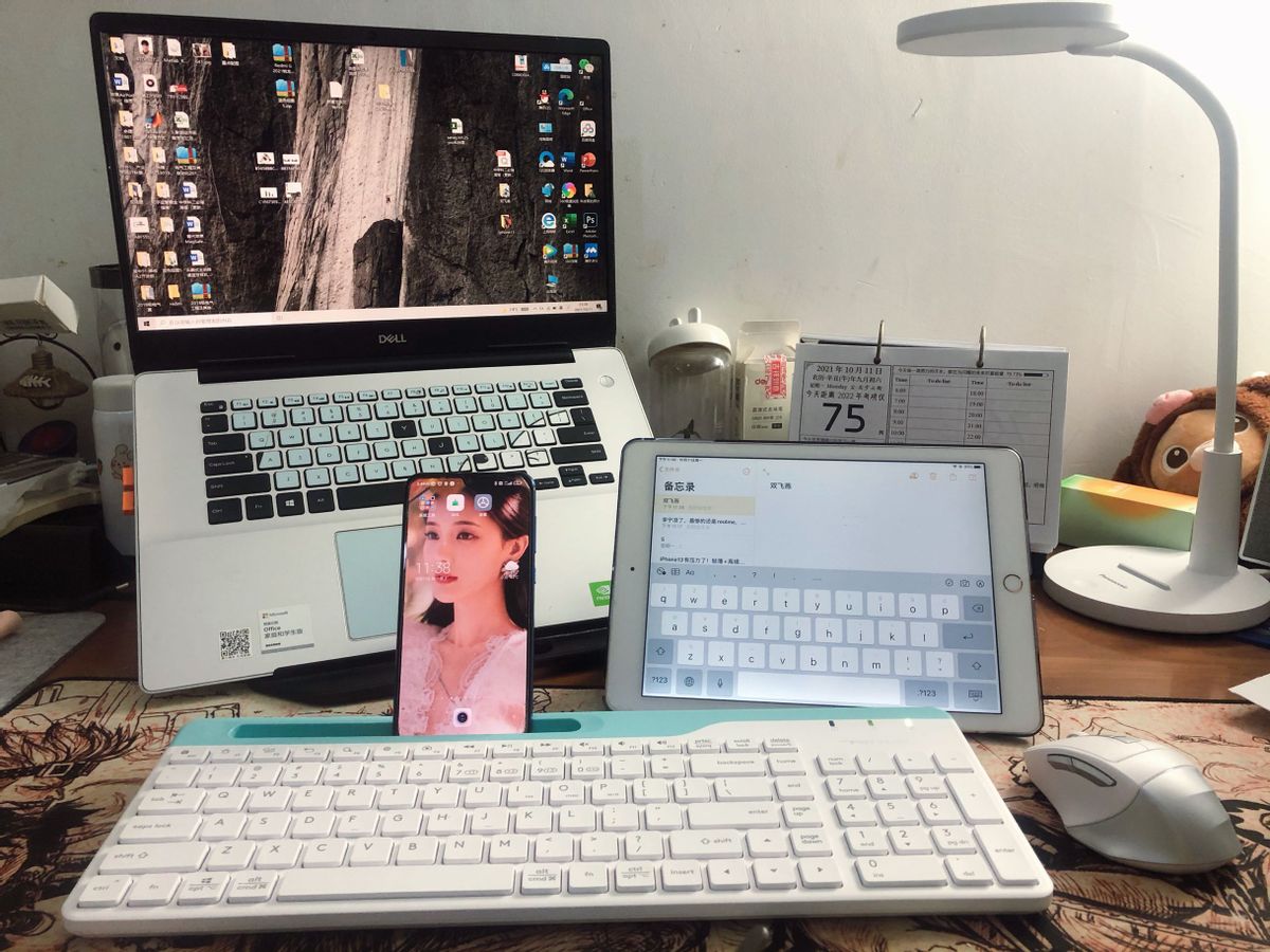 双飞燕键鼠套性价比最高,不到两百元可以买什么