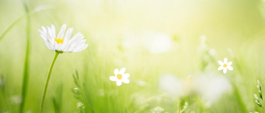 中国四大央企保险公司,中国央企五大保险公司