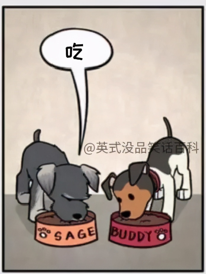 铲屎官和狗子的漫画,铲屎官和狗子们漫画