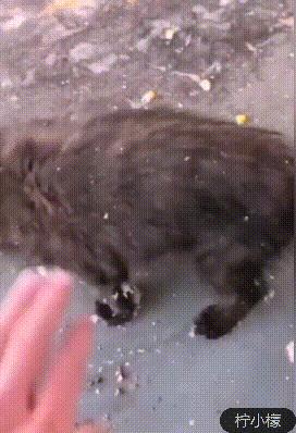 发朋友圈向男友表白的句子,朋友圈向男神表白的句子