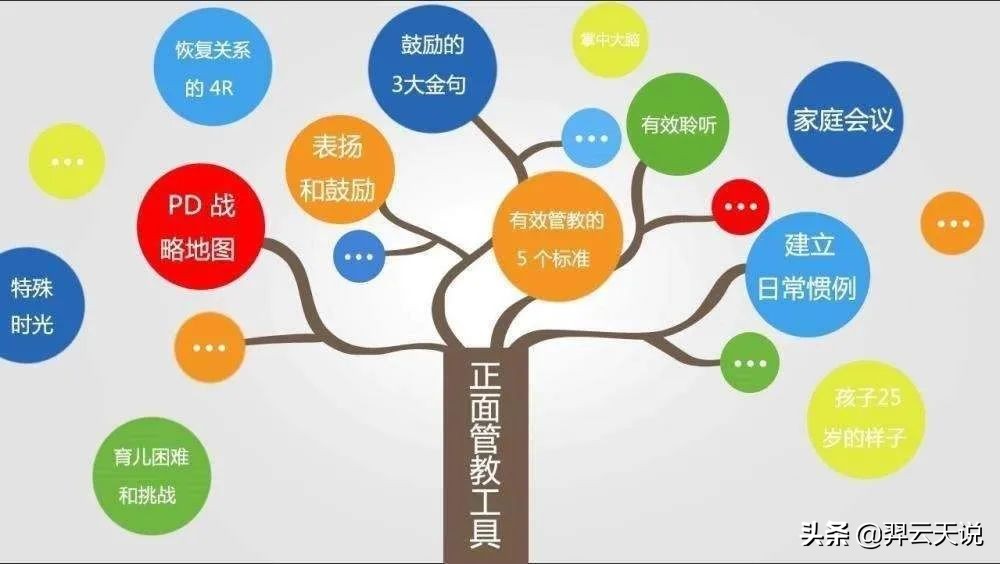 自闭症孩子有情感吗？如何避免干预道路上的误区？