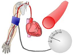 低血压头晕的最佳治疗方法,长期低血压引起的头晕用什么方法