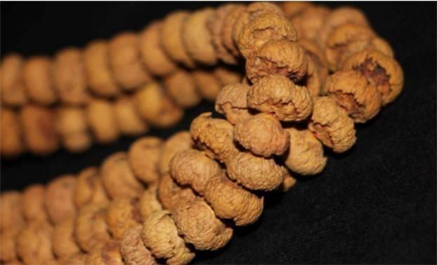 滴血莲花菩提怎么盘,什么是滴血莲花菩提怎么盘玩