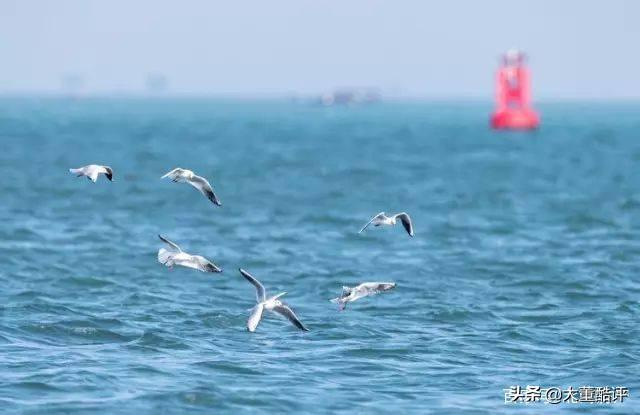 买房最好的十大理由,北海居住十大理由
