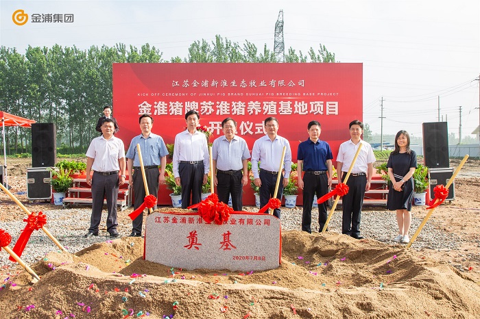 金浦苏淮猪养殖,苏淮猪养殖基地