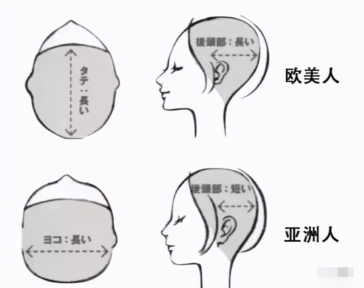 混血颜自测,五官混血的特征