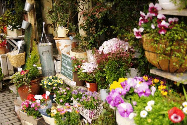 开网上花店的步骤,手把手教你开花店