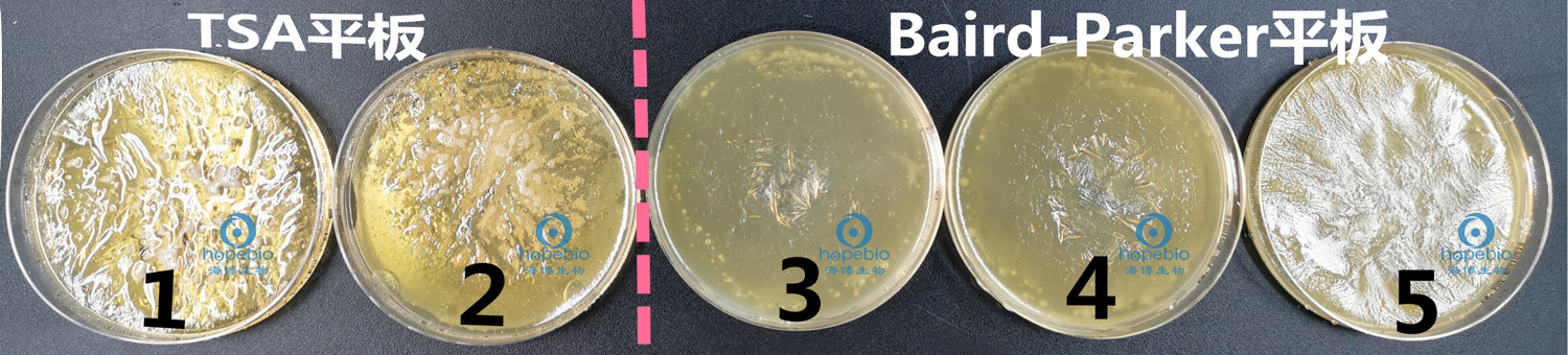 培养基失效的预防措施,平板被冻坏了怎么办