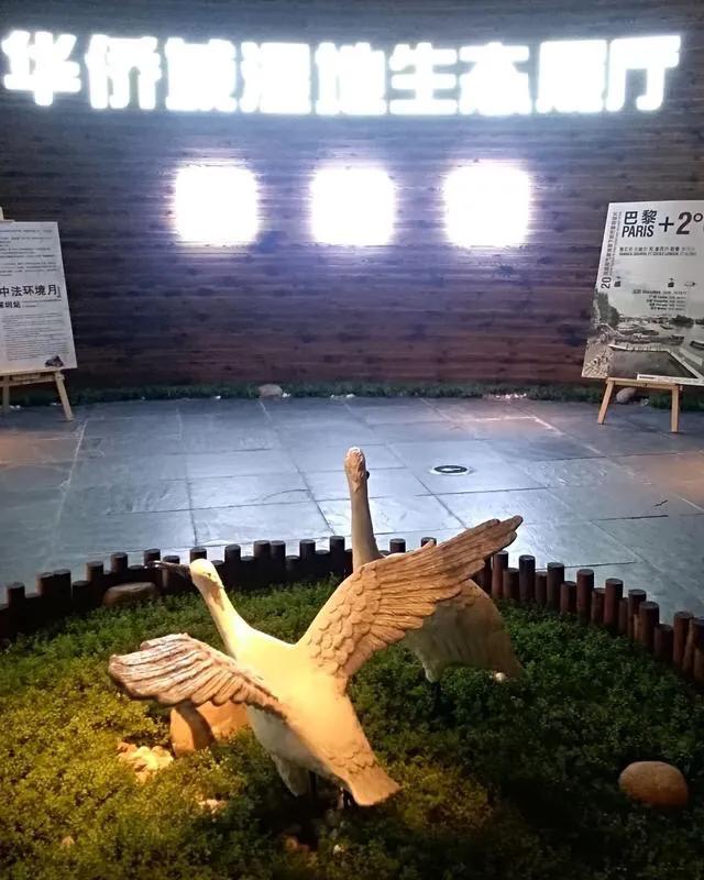 深圳市十大免费公园,深圳十大湖泊