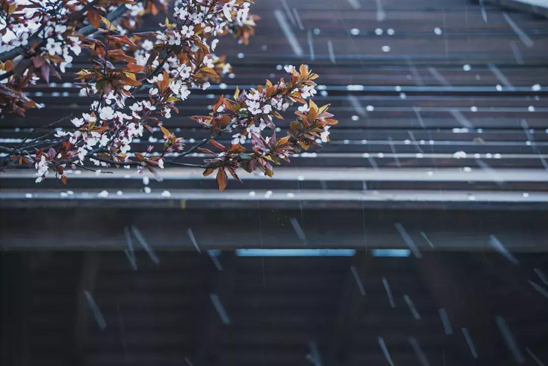 1999最火的歌,盘点那些2024年最火爆的歌