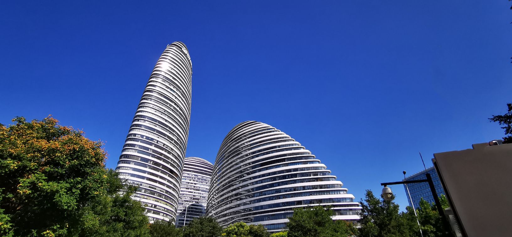 鍖椾含绉樺,鍖椾含绉樺涔嬫梾