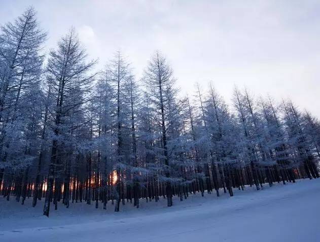 长沙身份证430102,长沙42开头的身份证