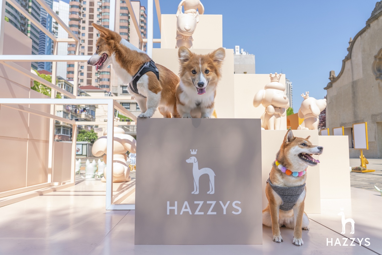 hazzys哈吉斯白色,hazzys哈吉斯秋季