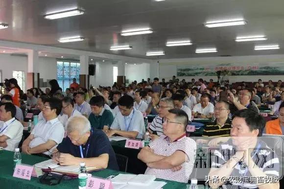 中南区猪肉供应缺口达300万吨！非洲猪瘟究竟该如何防？