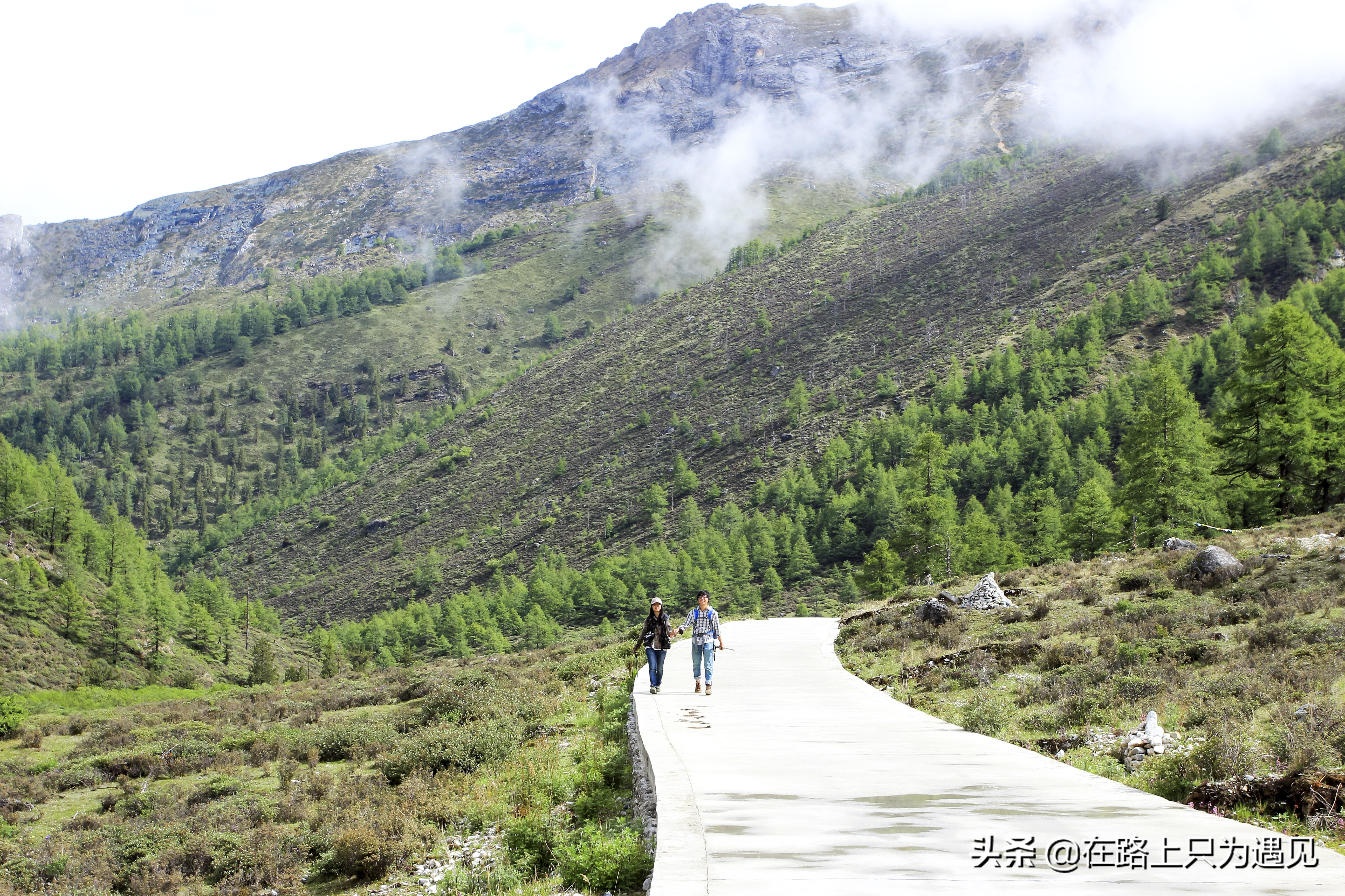 从你的全世界路过稻城亚丁主人公,从你的全世界路过稻城亚丁片段
