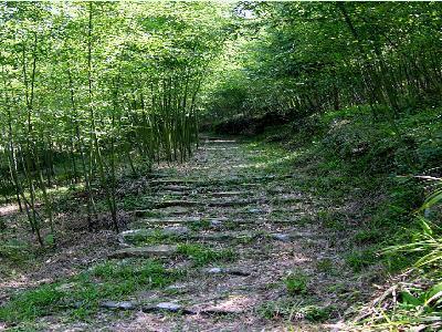 黄湖寒峡篇一一暑日送君一片清凉