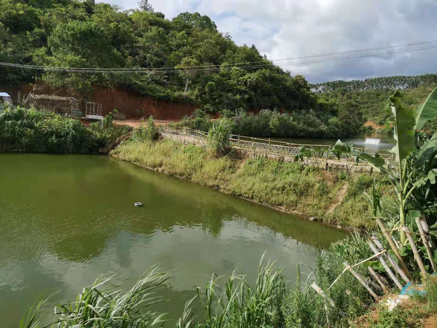 春季淡水鱼死亡原因及防治对策,养殖淡水鱼烂尾烂嘴是什么问题