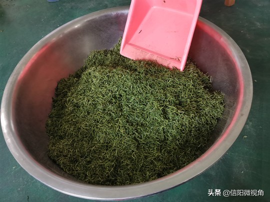 信阳茶叶合作社大全,信阳毛尖茶叶合作社