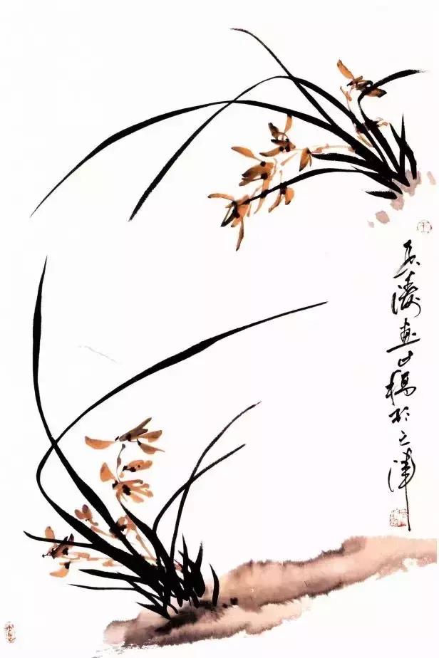 徐湛国画兰花的画法,徐湛国画兰花的画法视频教学