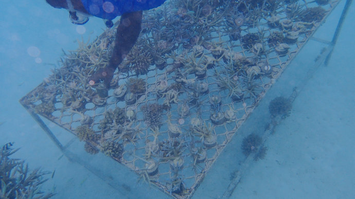 海上香格里拉金町湾,马尔代夫香格里拉隐逸的海岛天堂