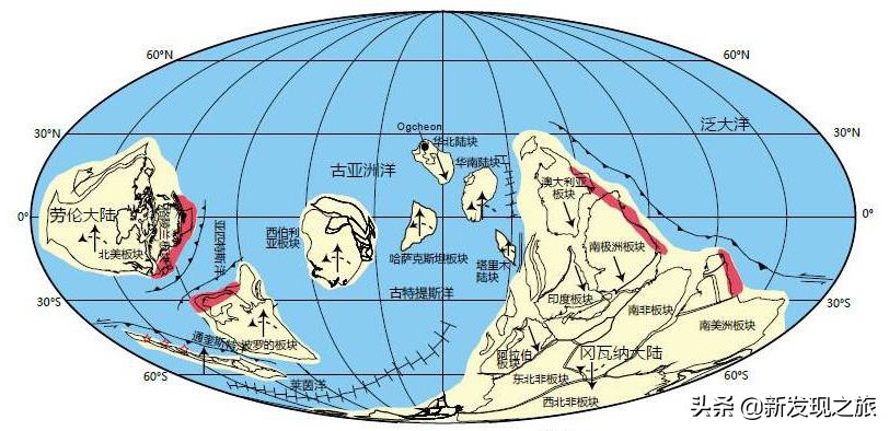地球第六次生物大灭绝会怎么样,地球曾出现过几次物种大灭亡