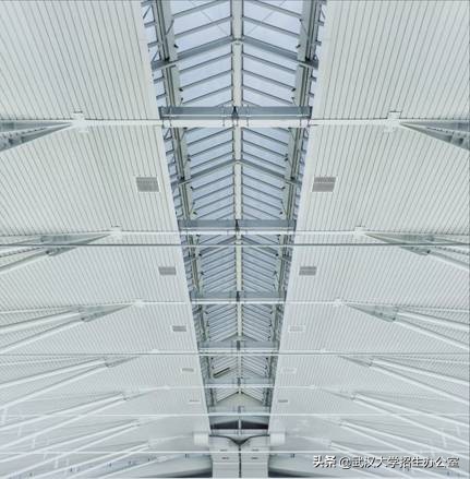 投资3亿的体育馆,投资300亿建大学