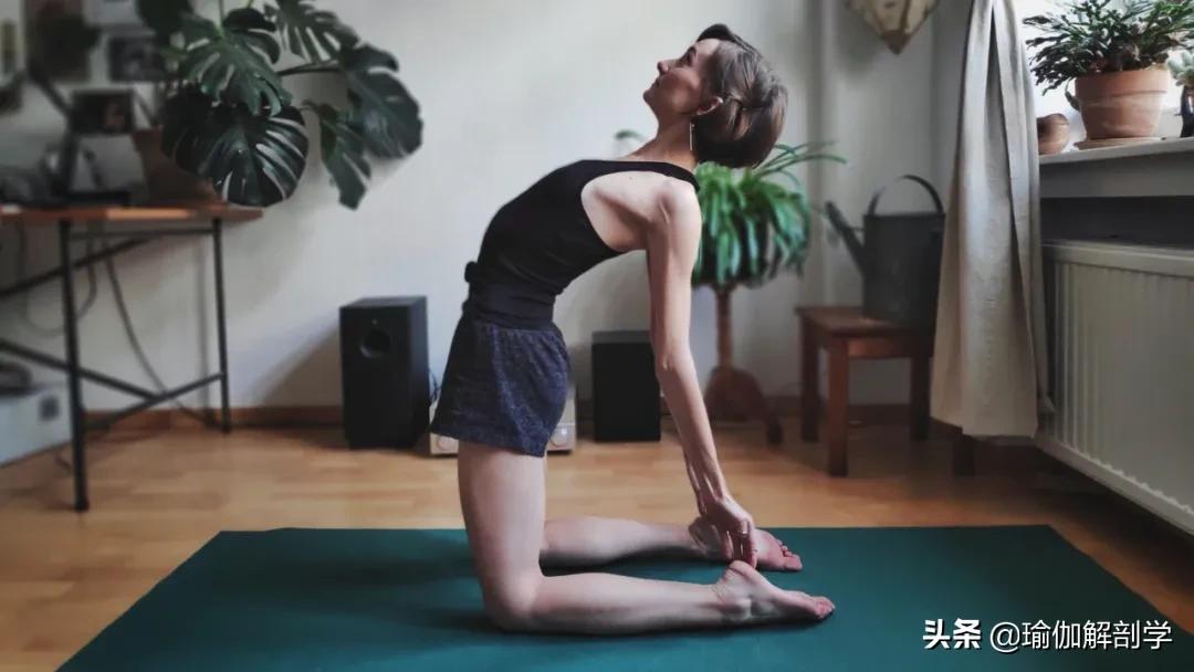 最简单的瑜伽动作初学者,最简单的瑜伽动作刚入门